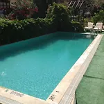 B&B Samoy