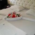 Samoy B&B