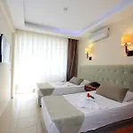 Samoy B&B