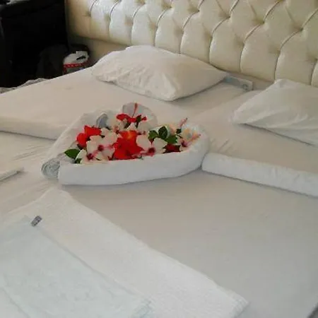 Samoy Bed and Breakfast