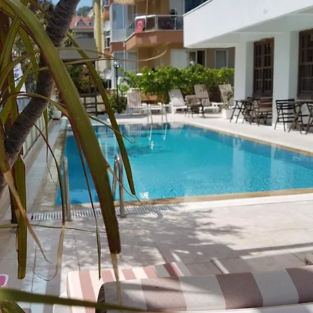 Samoy Bed & Breakfast