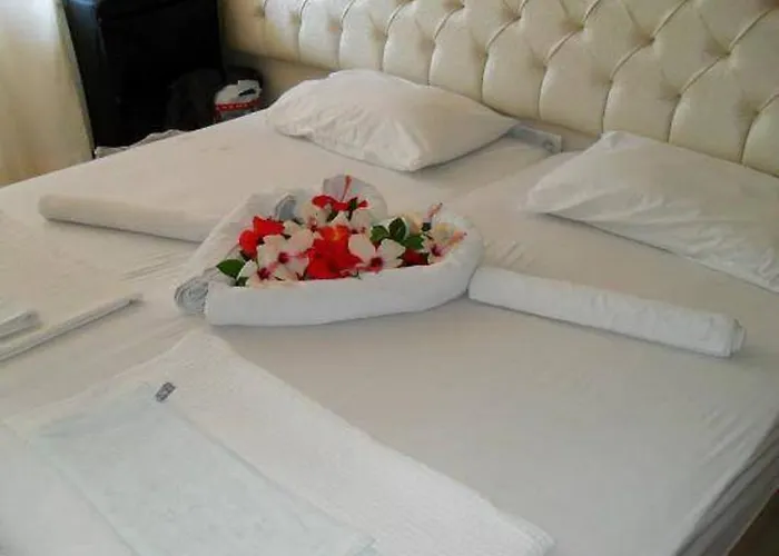 Samoy Bed and breakfast